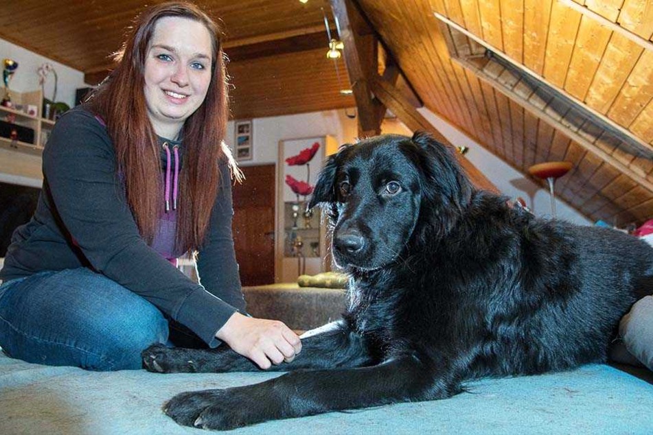 Pflegehund sucht ein Zuhause: Teresa Handke (28) mit Labrador-Mischling Theo.