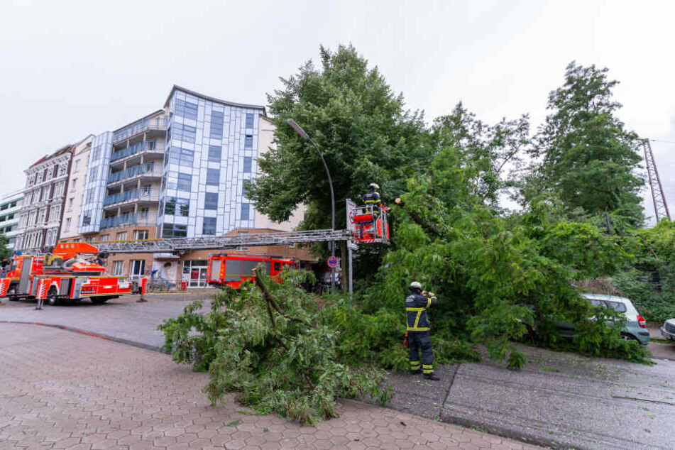 Feuerwehrmänner in der Hamburger Innenstadt bei Aufräumarbeiten.