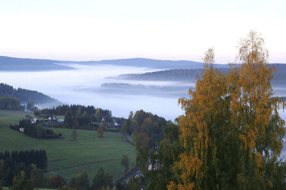 In Klingenthal nahm die Bundespolizei einen gesuchten Räuber fest.