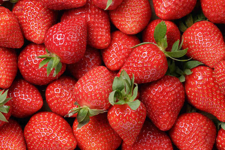 In Australien haben im September mehrere Konsumenten Nähnadeln in Erdbeeren gefunden. (Symbolbild)