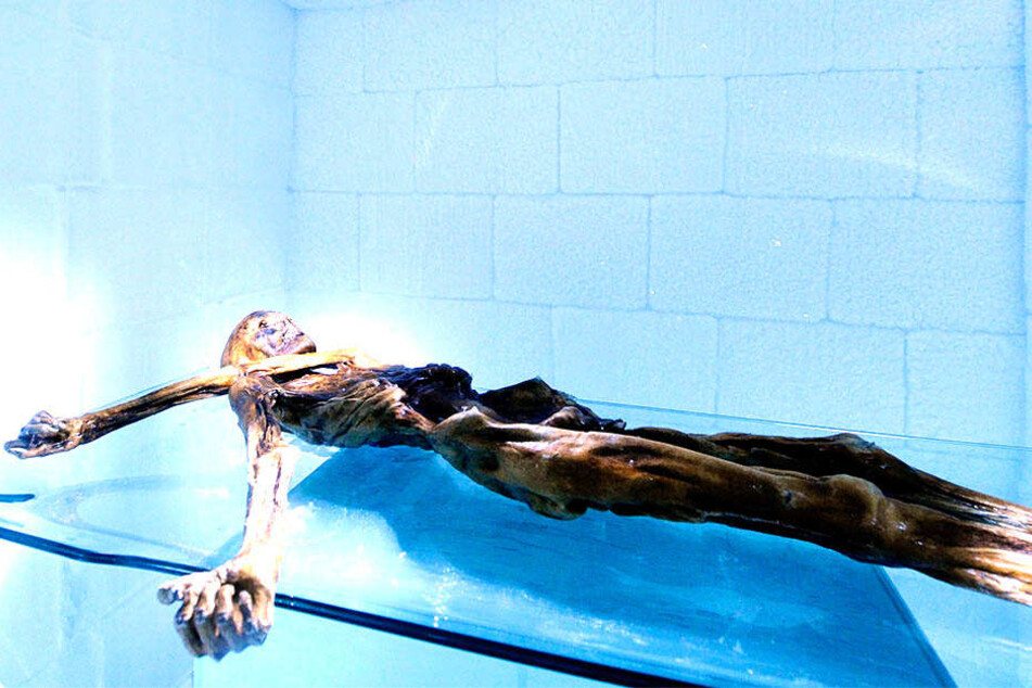 Ötzi - die bekannteste Mumie Europas - liegt in einer Kühlkammer im Archäologischen Museum.