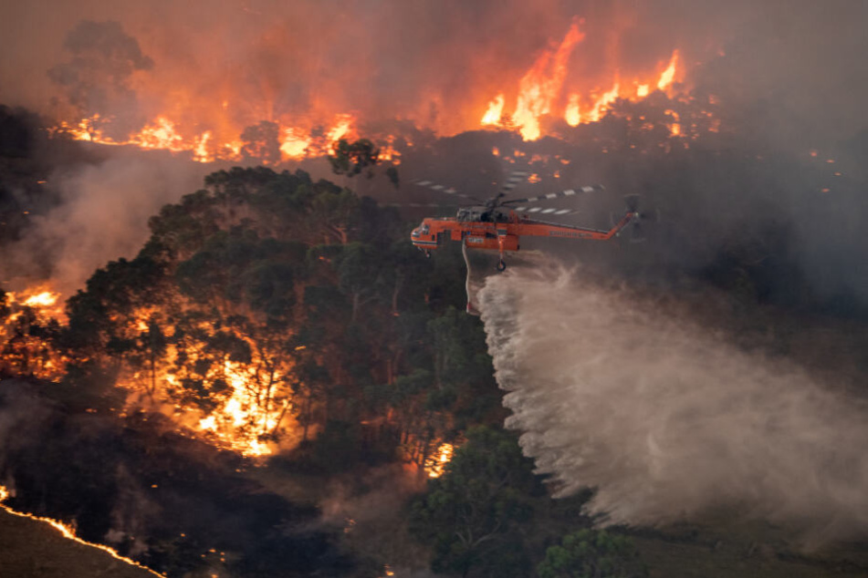 Bedrohlich wüten die Buschfeuer in Australien.
