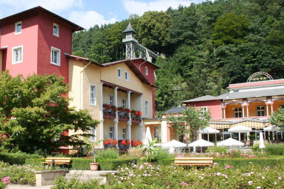 Mitten im Grünen befindet sich das Parkhotel Bad Schandau.