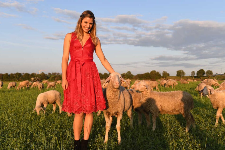 Das Wiesn-Playmate 2019, Stella Stegmann (22), steht auf einer Wiese zwischen Schafen.