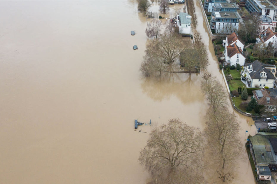 Der Main, der Rhein und andere Flüsse sind in Hessen über die Ufer getreten.