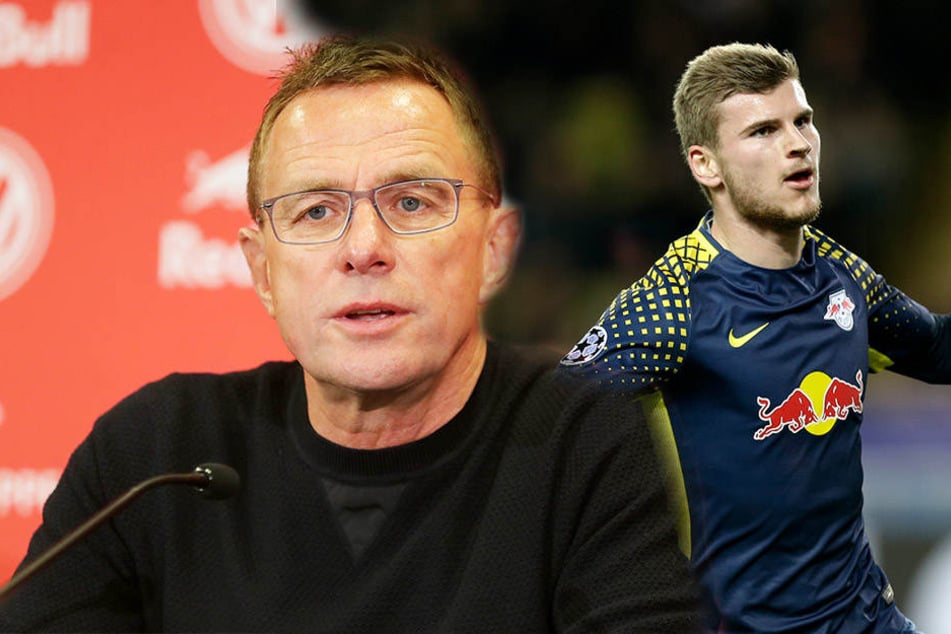 Er bleibt! RB Leipzigs Sportdirektor Ralf Rangnick schob einem Wechsel von Stürmerstar Timo Werner vor dem Winter 2018 einen Riegel vor.