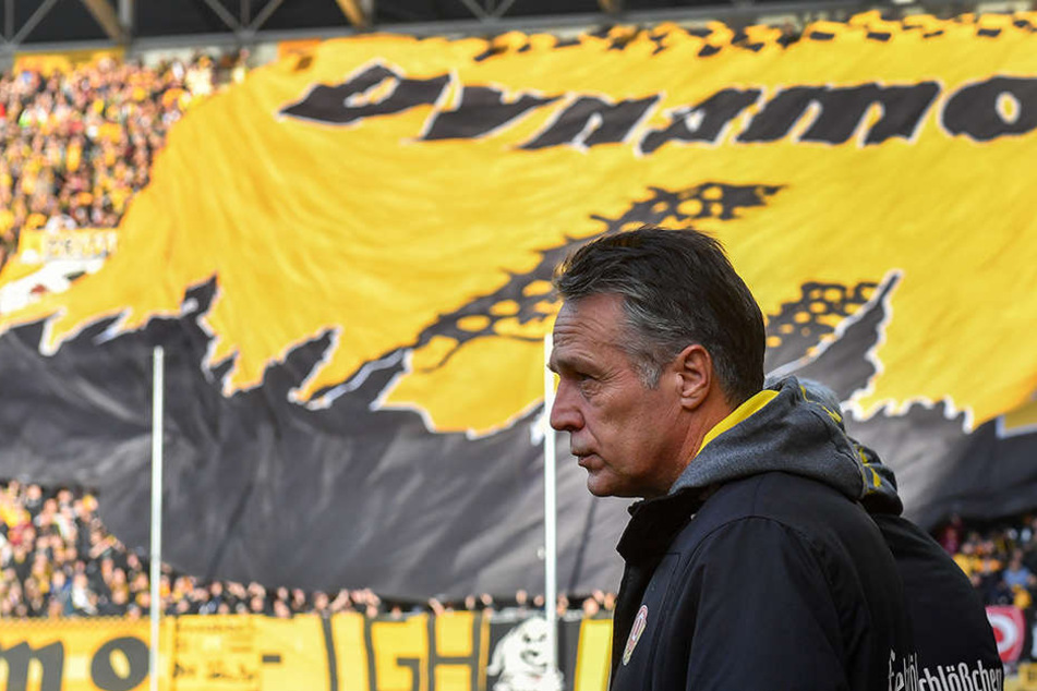 Auch auswärts kann sich Dynamo-Trainer Uwe Neuhaus auf eine
schwarz-gelbe Wand freuen.