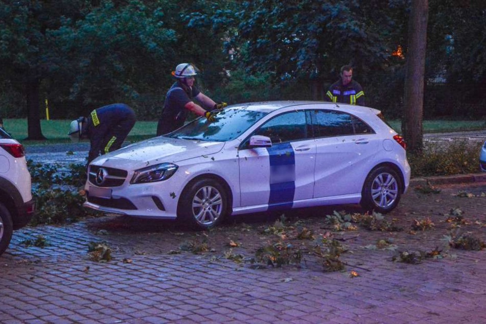 In Magdeburg stürzte ein mehrere Meter langer Ast auf diesen geparkten Mercedes und verpasste ihm mehrere Dellen. Verletzt wurde niemand.