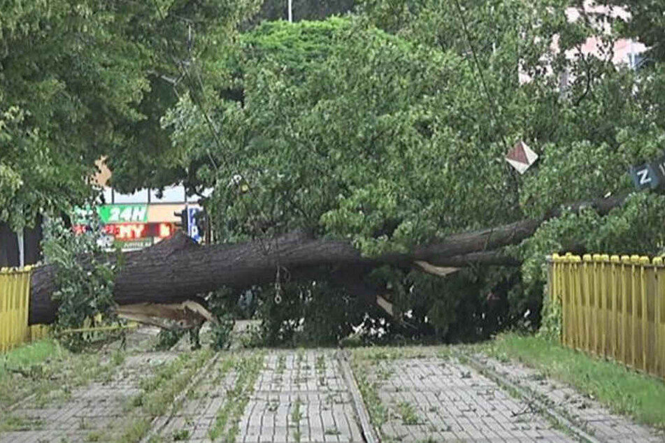 Heftige Unwetter haben in Polen schwere Schäden angerichtet.