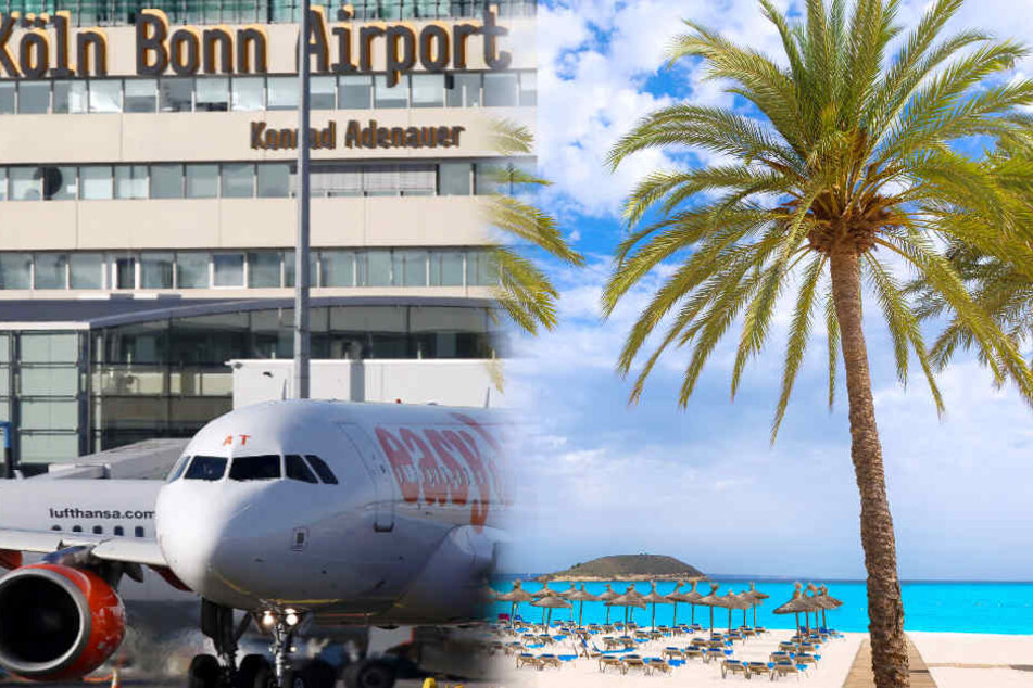 Neben den klassischen Zielen stehen im Sommer 2018 Neulinge im Flugplan.