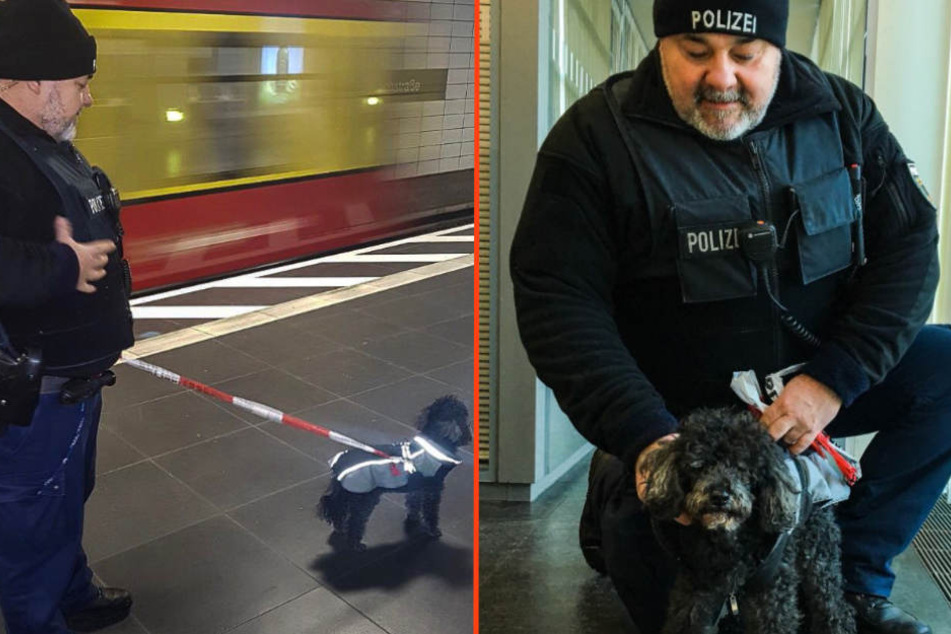 Ein Beamter mit dem kleinen "Schwarzfahrer".