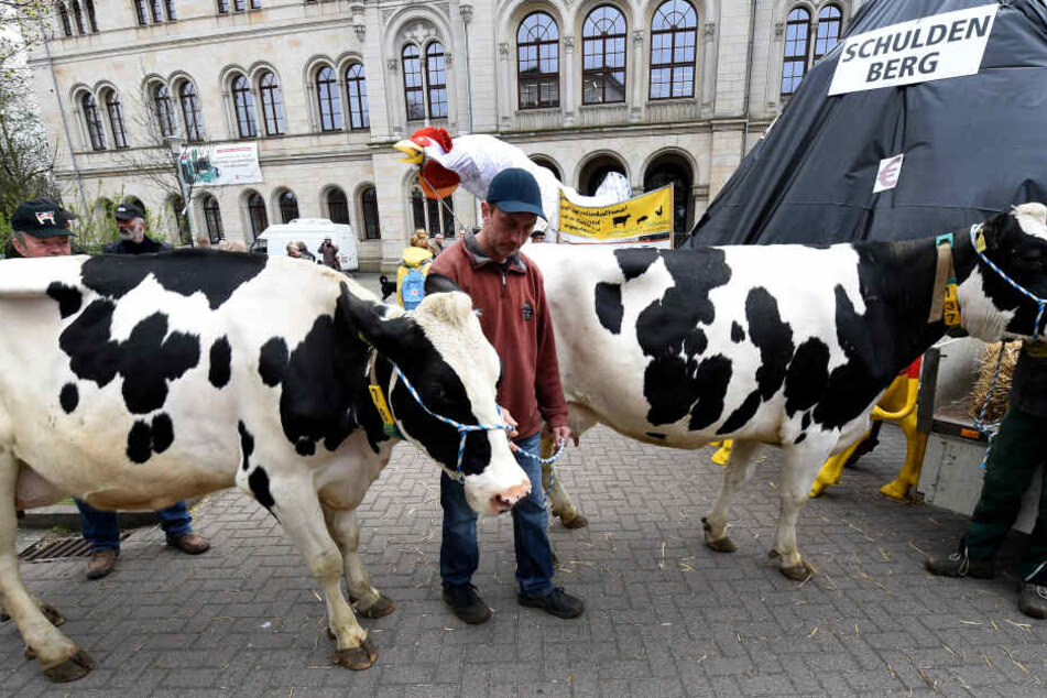 Milchbauern fordern ein Krisenmanagement zur Regelung der Milchmenge in der EU. Deutschlands Milchbauern beuten sich selbst aus - in zwanzig Jahren könnte es kaum noch Milcherzeuger geben. (Archivbild)