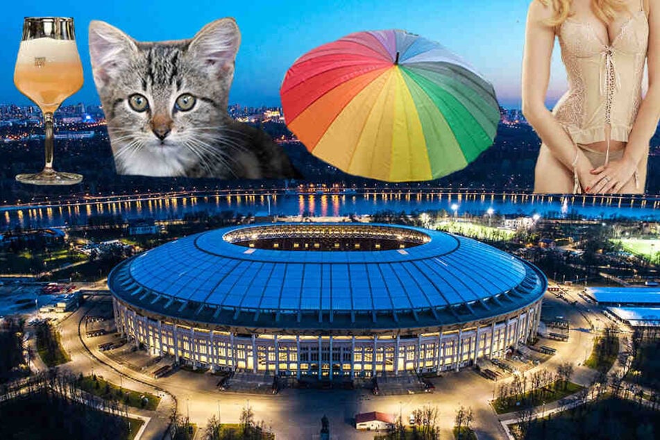 Auch Kätzchen und Korsetts sind in den Stadien der WM 2018 verboten!