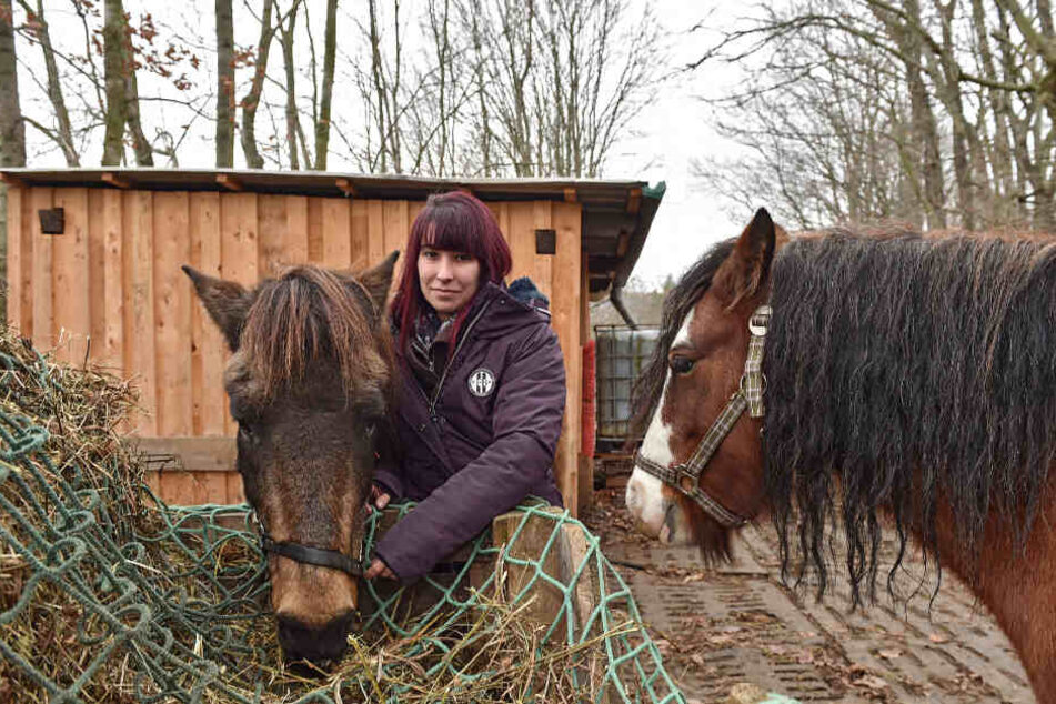 Anne H. (30) kümmert sich auf dem Ponyhof "Happy Horse" liebevoll um die Vierbeiner.