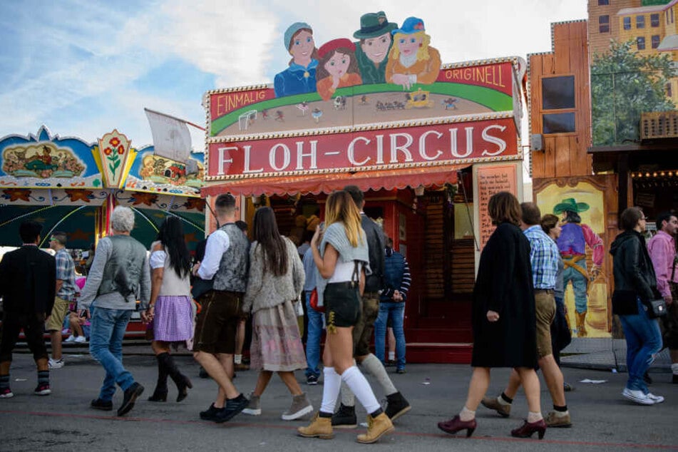 Immer weniger Leute interessieren sich für den Flohzirkus.