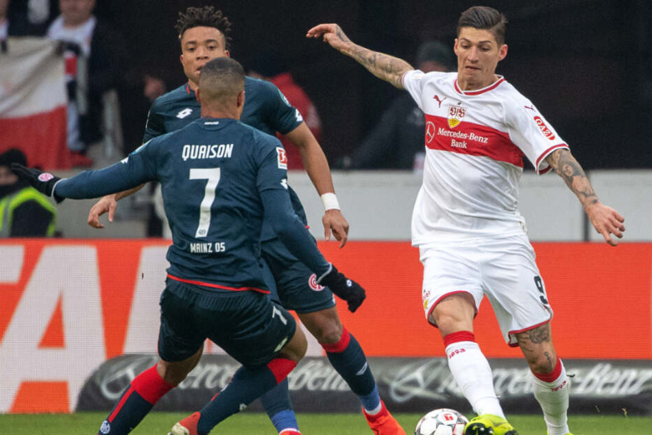 Er streichelt das Kunstleder: VfB-Mittelfeldmann Steven Zuber (r.) in der Begegnung gegen Mainz 05.