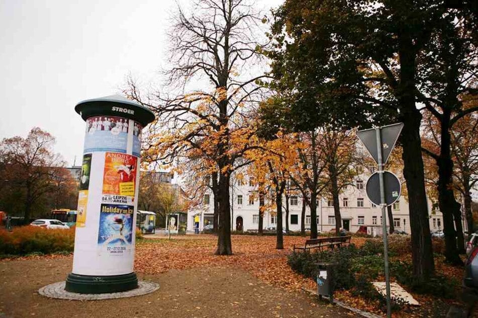 Auf dem Stannebeinplatz wurde die Leiche der Frau gefunden.