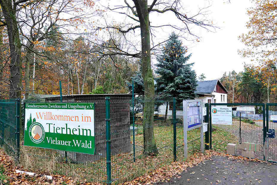 Das vom Tierschutzverein betriebene Zwickauer Tierheim in Vielau. Die Tierfreunde hatten unter anderem dortige Haltungsbedingungen kritisiert.