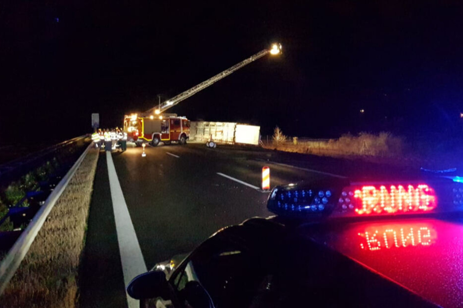 Rinder auf der Autobahn! A38 bei Leipzig nach schwerem Unfall gesperrt