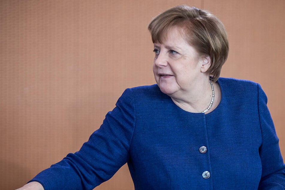 Kein gutes Zeugnis bekommt Angela Merkel (64) aus der Alternative für Deutschland ausgestellt.