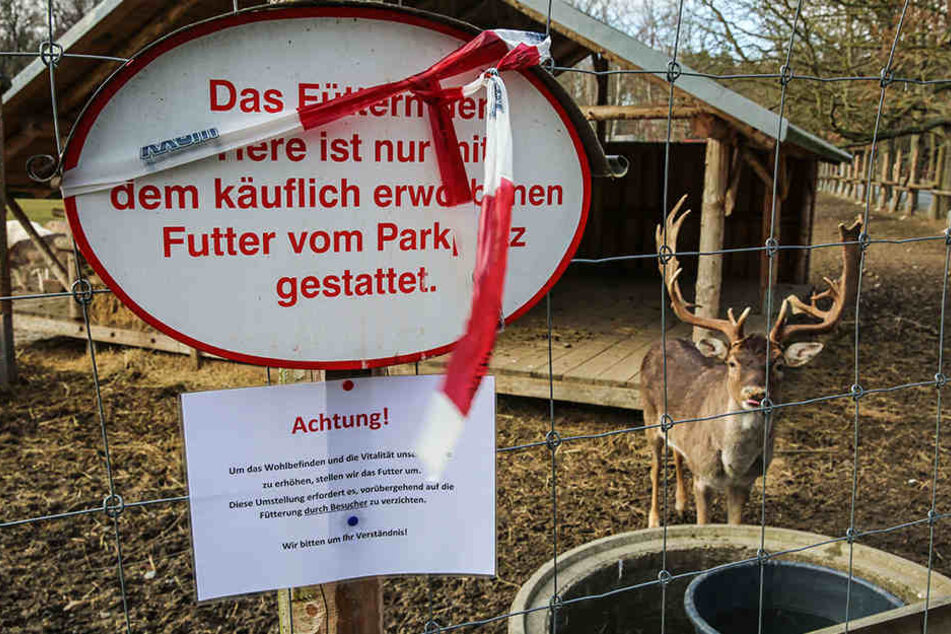 "Um das Wohlbefinden und die Vitalität unserer Tiere zu erhöhen" - so informieren die Park-Betreiber die Wildgehege-Besucher nach den Todesfällen über das Fütterungs-Verbot.