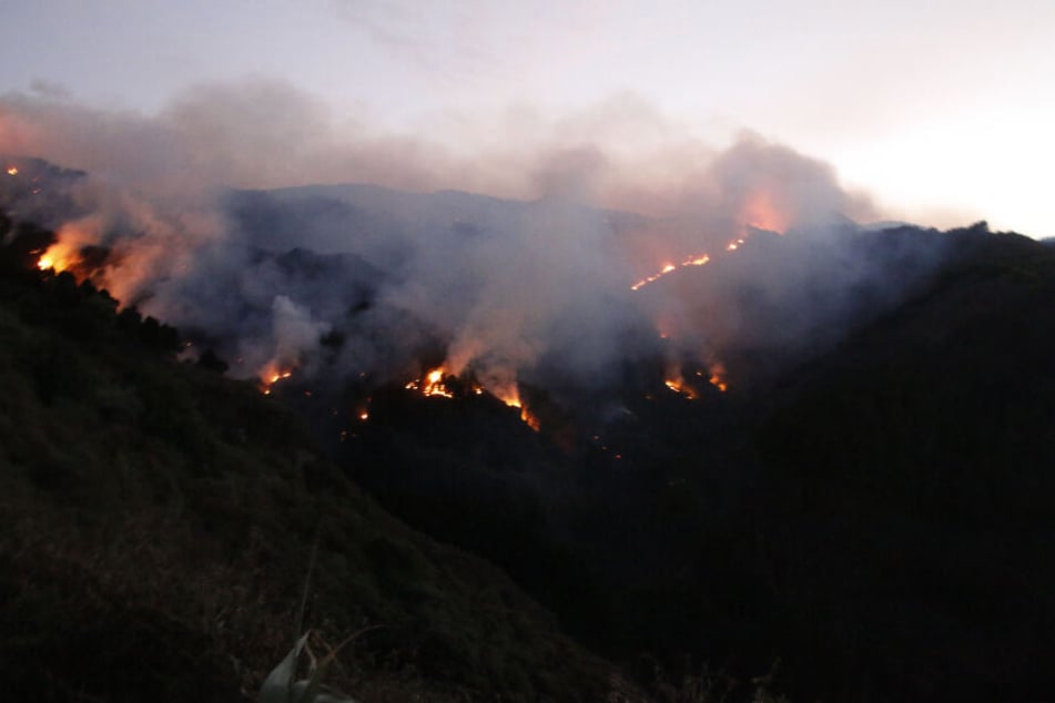 Flammen breiten sich bei einem Waldbrand in Valleseco auf der Insel Gran Canaria aus.