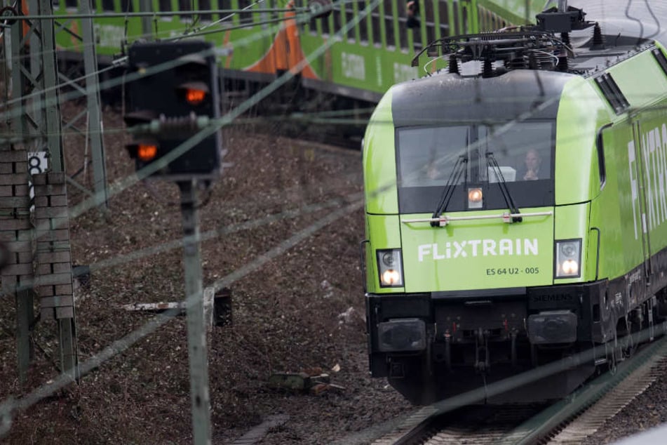 Der "Flixtrain" fährt in den Hamburger Hauptbahnhof ein.