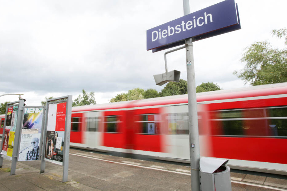 Eine S-Bahn verlässt die Station Diebsteich. (Archivbild)