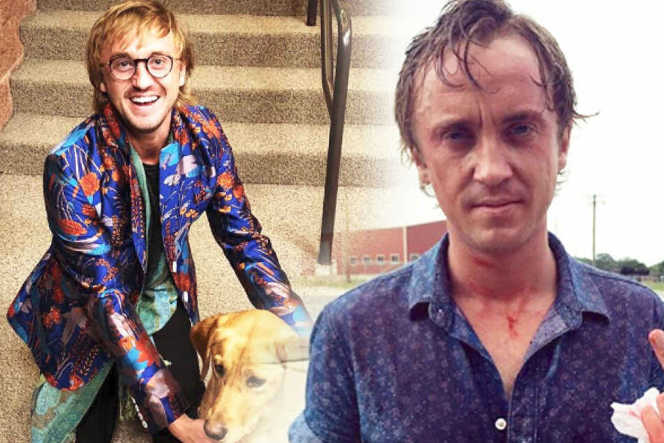 Die blonden Haare, der stechende Blick und das markante Gesicht sind geblieben. Ansonsten hat sich Tom Felton (30) in den letzten Jahren ziemlich verändert.