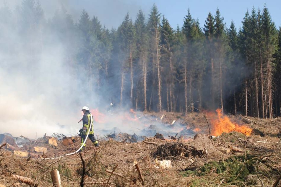 In den vergangenen Wochen gab es in NRW aufgrund der Trockenheit zahlreiche Waldbrände.
