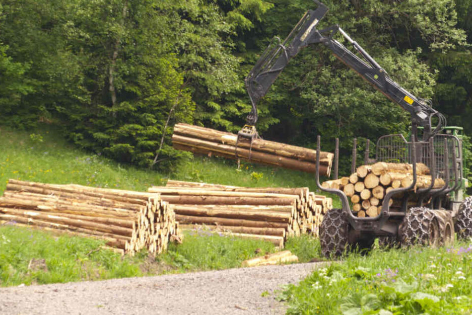Beim Abtransport von Baumstämmen wurde der Mann schwer verletzt. (Symbolbild)