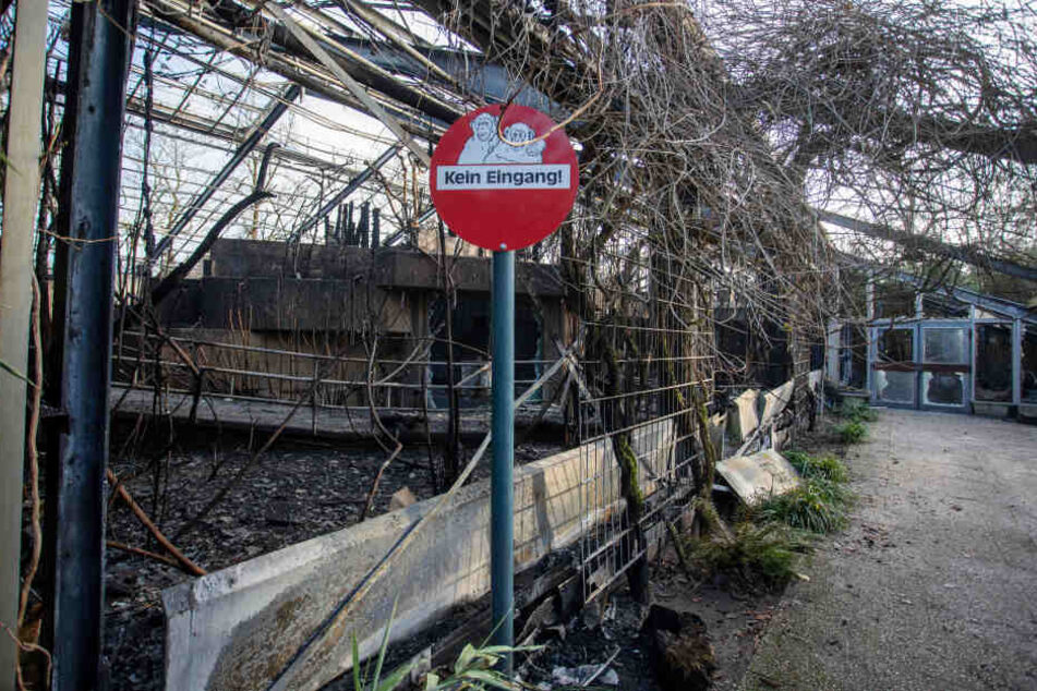  Das abgebrannte Affenhaus ist nach dem Brand in der Silvesternacht im Krefelder Zoo zu sehen.