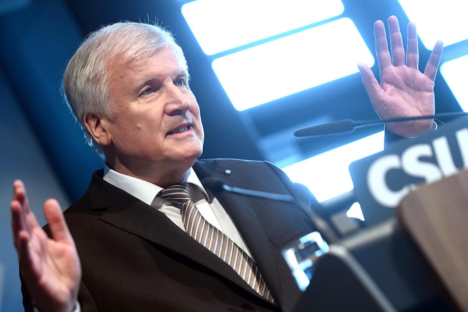 Der designierte Bundesinnenminister Horst Seehofer.