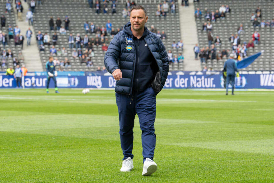 Pal Dardai läuft über den Rasen des Berliner Olympiastadions. Der Ungar wird Hertha BSC in der neuen Spielzeit nicht mehr trainieren.