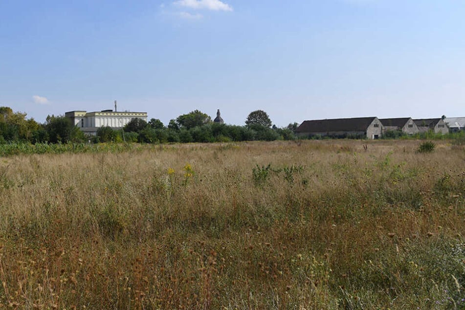 Noch ist es eine Brachfläche, doch schon bald soll hier das neue Trainingszentrum entstehen.