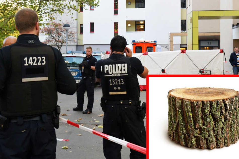 Polizisten sichern den Tatort im Märkischen Viertel. Der Junge wurde von einem Baumstumpf erschlagen. (Symbolbild)