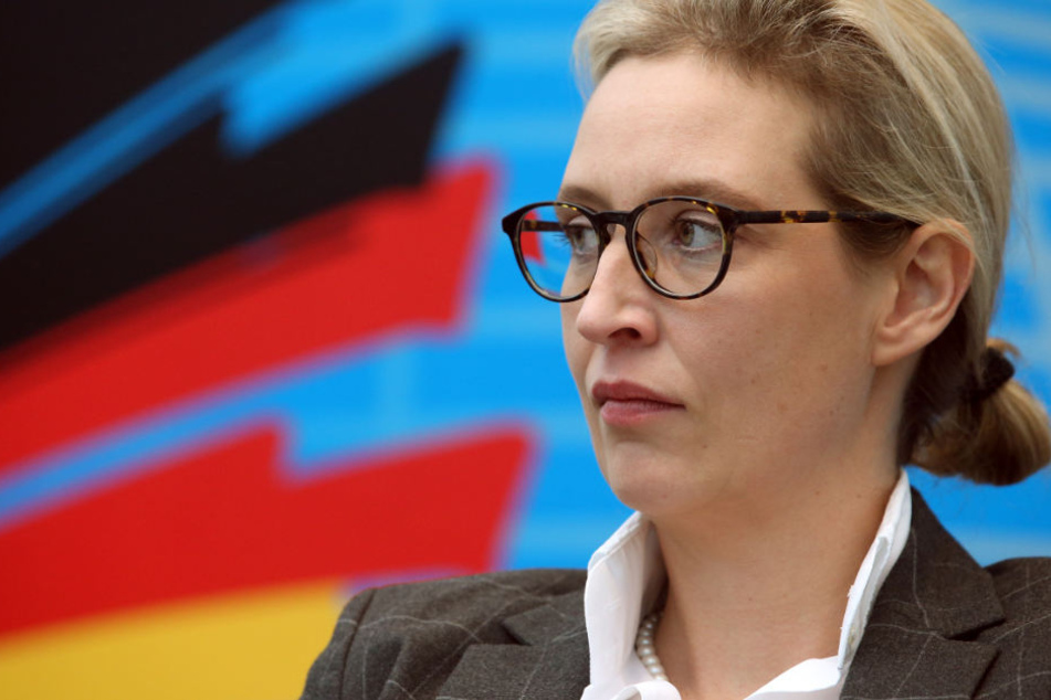 Die Staatsanwaltschaft ermittelt nun offiziell gegen Alice Weidel wegen des Verdachts eines Verstoßes gegen das Parteigesetz.