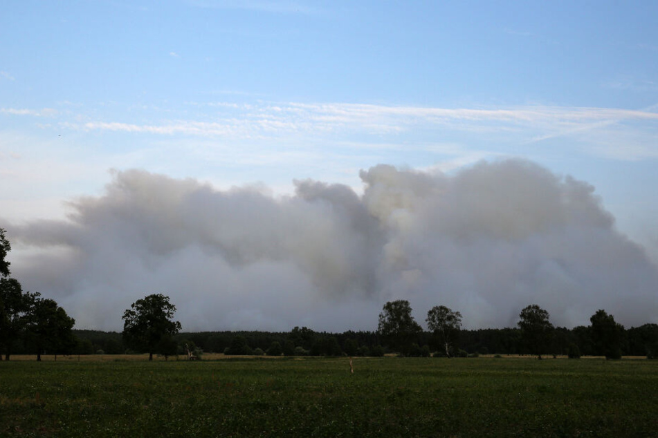 Dichter Rauch steigt über dem Wald auf.