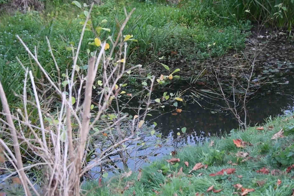Passanten entdeckten den Toten im Loddenbach.