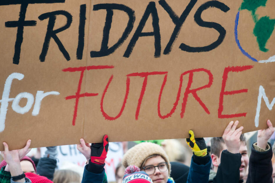 "Fridays for Future" ist auf dem Schild mehrerer Schüler zu lesen.