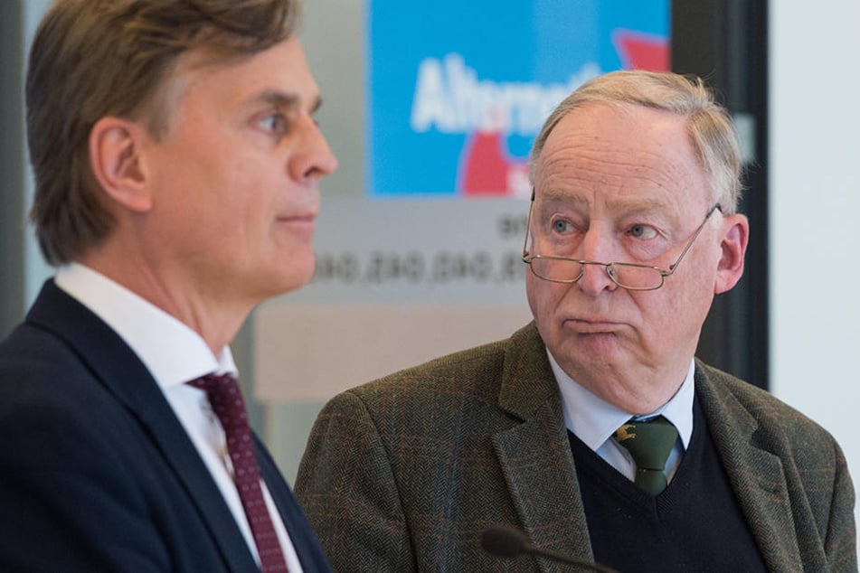 Bernd Baumann und Alexander Gauland können mit den letzten Umfragewerten nur zufrieden sein.
