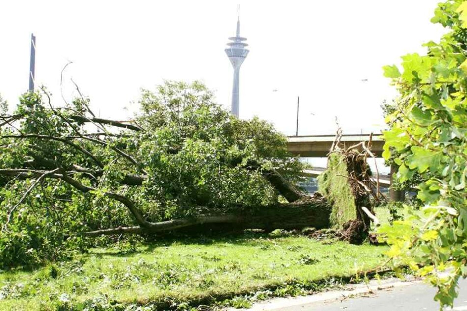 Erst nach knapp zwei Wochen waren die größten Schäden durch das Unwetter beseitigt worden.