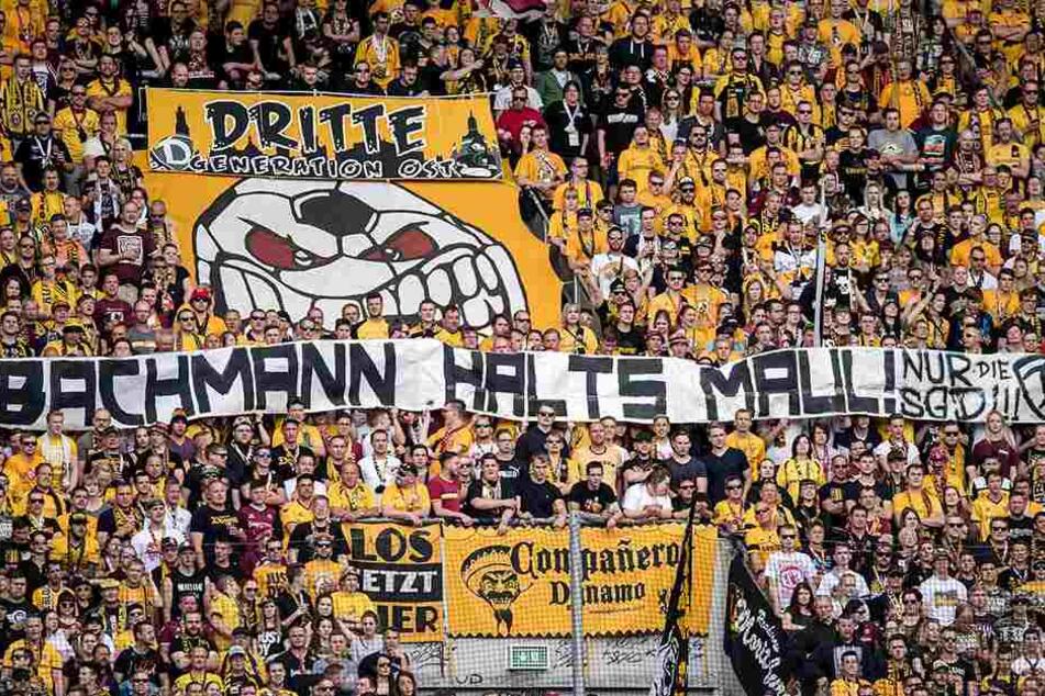 Eine Botschaft von Dynamo-Fans an PEGIDA-Chef Lutz Bachmann, während des Zweitliga-Spiels gegen Arminia Bielefeld (21. Mai 2017).
