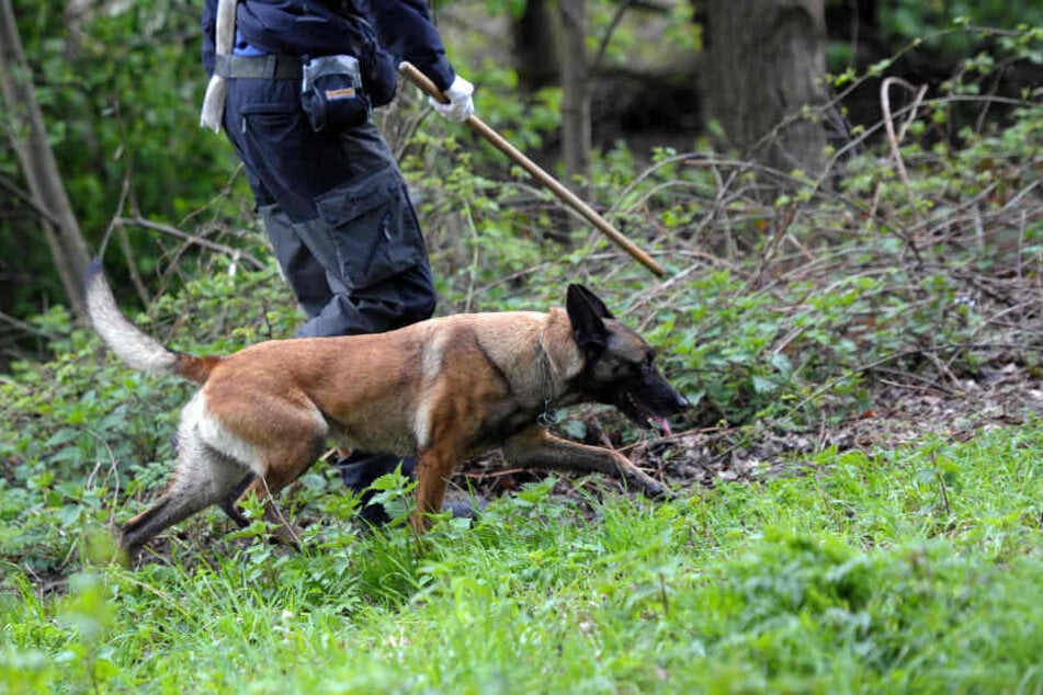Mit Leichenspürhunden wurde bereits nach dem Vermissten gesucht. In einer Scheune fand man ihn - tot! (Symbolbild)