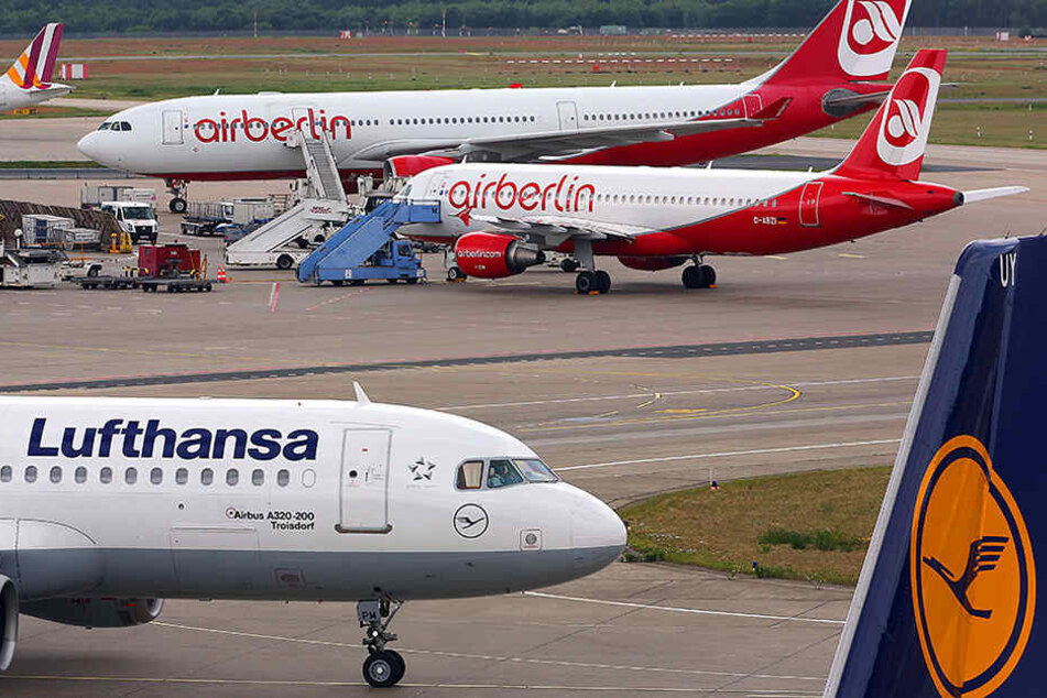 Lufthansa gilt als bester Kandidat für die Übernahme der insolventen Air Berlin.