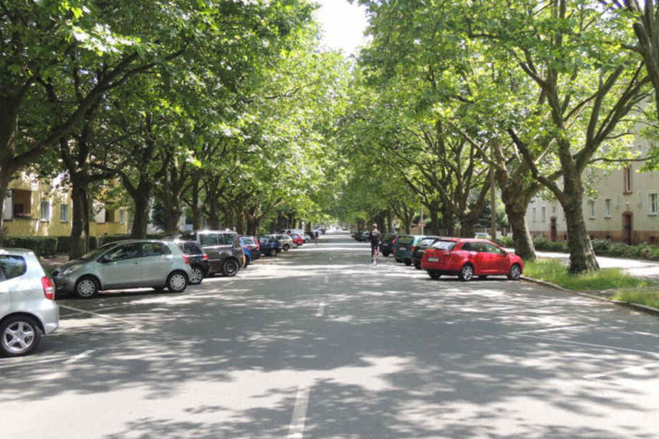 Solche Straßenzüge soll es häufiger in Leipzig geben. Dafür gibt die Stadt knapp 600.000 Euro aus.