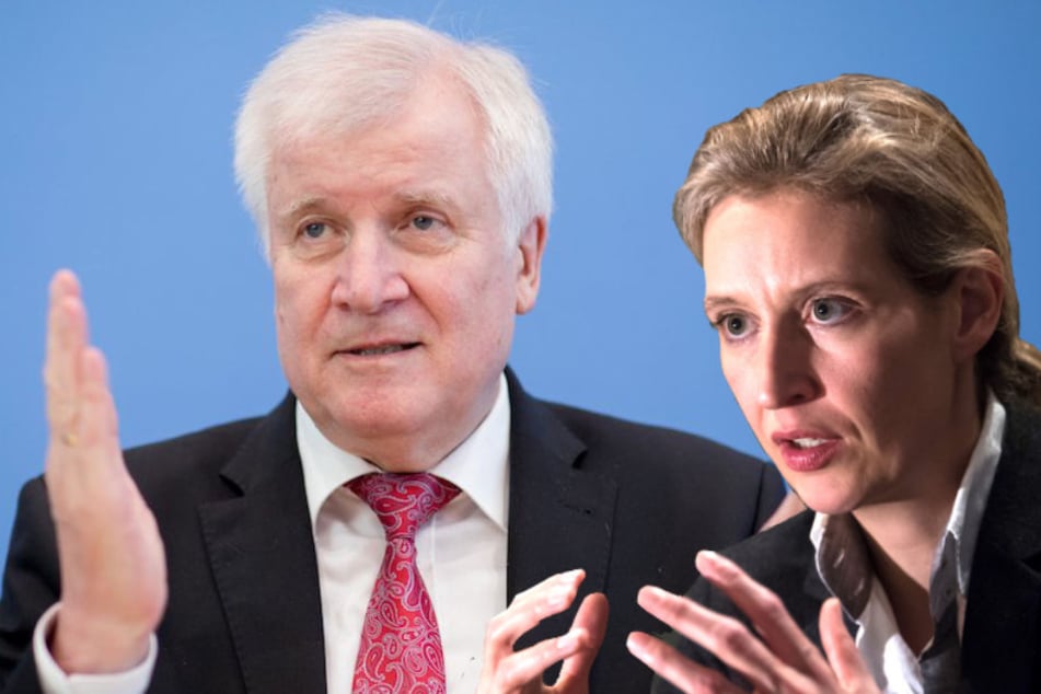 AfD-Chefin Alice Weidel (39) verteidigt Horst Seehofer (69, CSU). (Bildmontage)