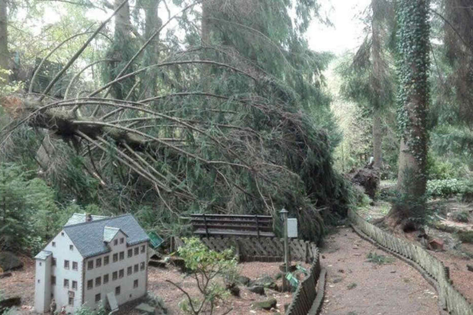 Umgestürzte Bäume fielen auf die Modelle im Klein Erzgebirge.