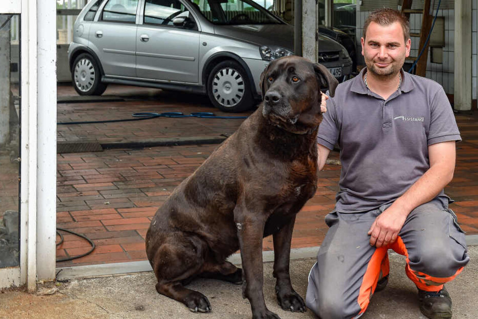 Automechaniker Enrico Petzold (38) wurde von Einbrechern heimgesucht.
