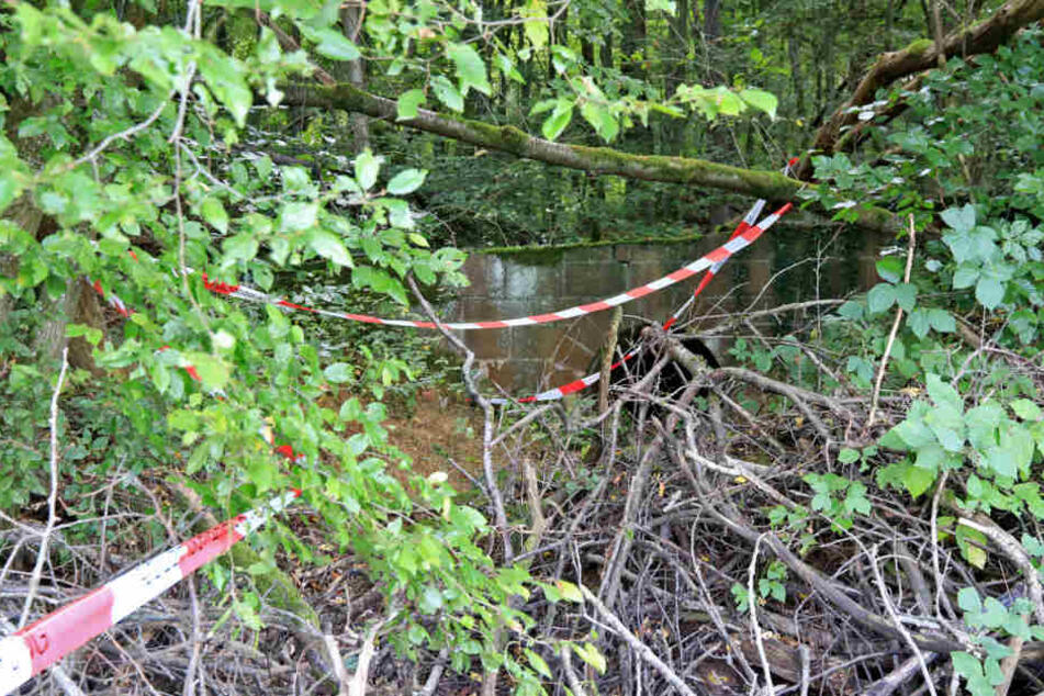 Die Angehörigen entdecken den Mann im Wald. (Symbolbild)